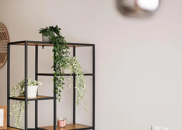 アパート Niceone Number 9 - W Samym Centrum!